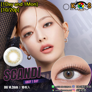 [1Day and 1Month]Olens Scandi Gray 스칸디 그레이